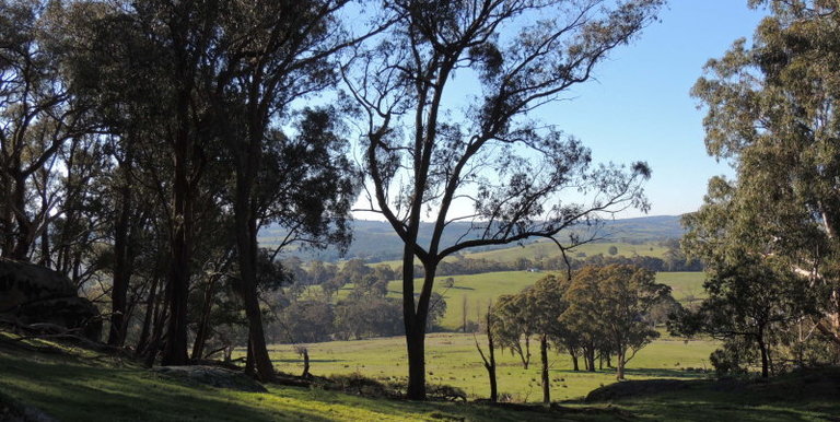 339 Kippings Road, Strathbogie