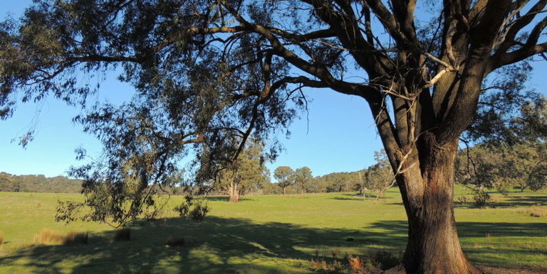 339 Kippings Road, Strathbogie
