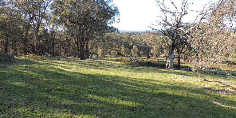 339 Kippings Road, Strathbogie