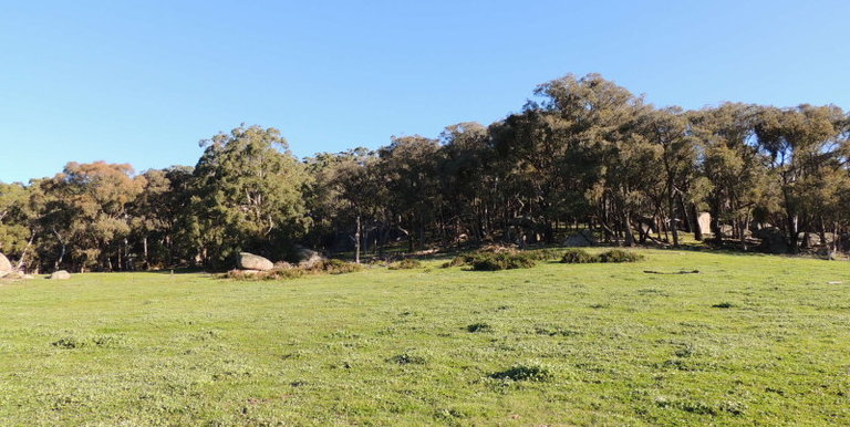 339 Kippings Road, Strathbogie
