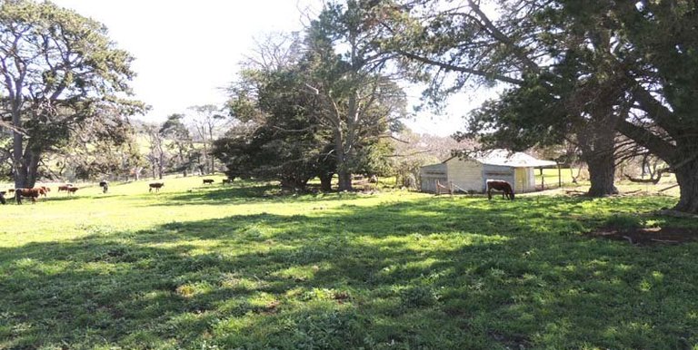 280 Boat Hole Road, Ruffy