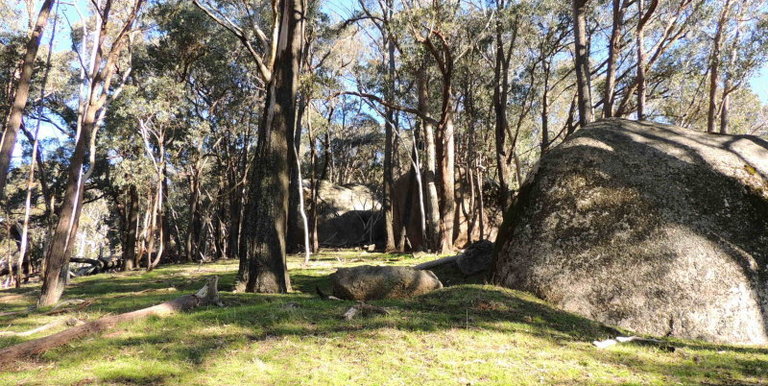 339 Kippings Road, Strathbogie