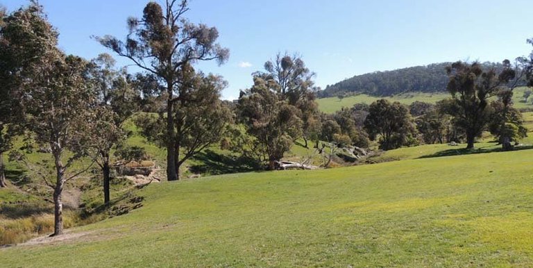 280 Boat Hole Road, Ruffy