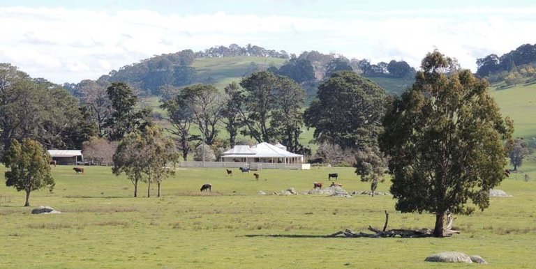 280 Boat Hole Road, Ruffy