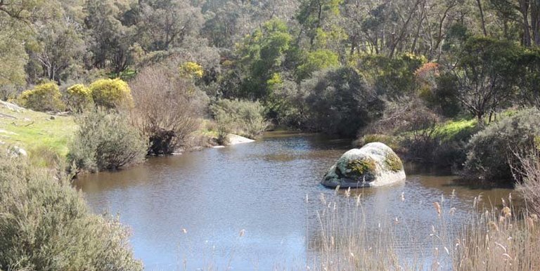 280 Boat Hole Road, Ruffy