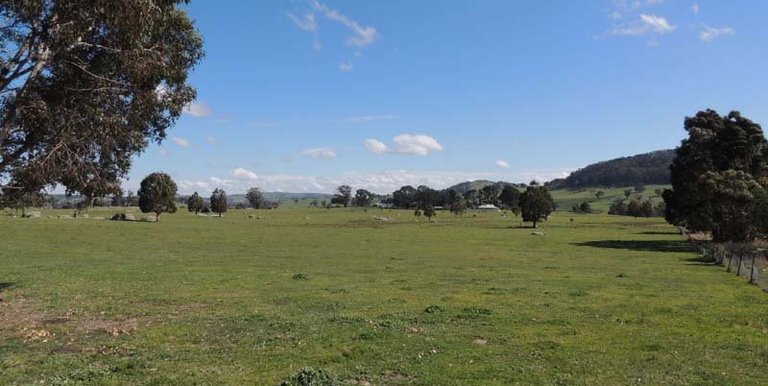 280 Boat Hole Road, Ruffy