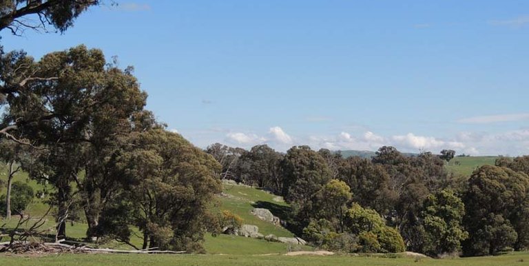 280 Boat Hole Road, Ruffy
