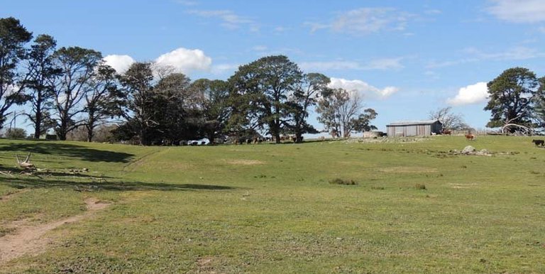 280 Boat Hole Road, Ruffy