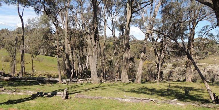 280 Boat Hole Road, Ruffy