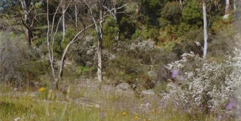 280 Boat Hole Road, Ruffy