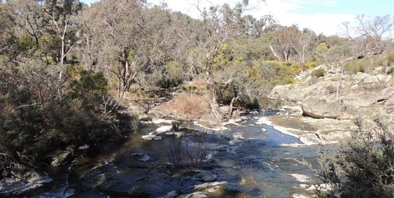 280 Boat Hole Road, Ruffy