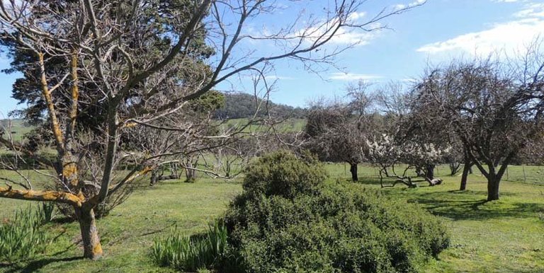 280 Boat Hole Road, Ruffy