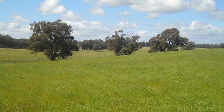 Lamonts Road, Violet Town