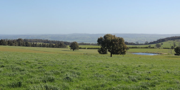 276 Kelvin View Road Kelvin View, Euroa