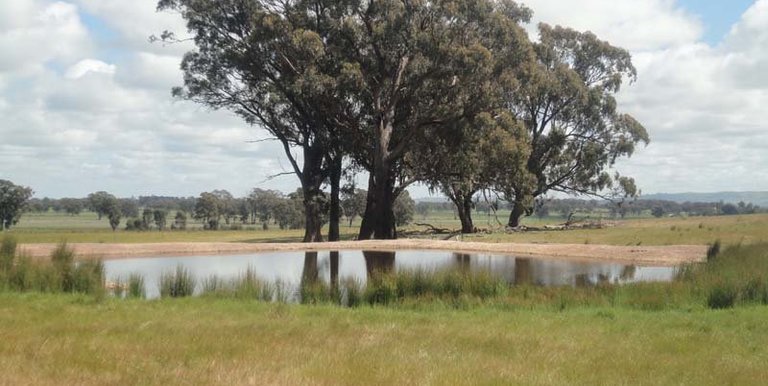 Lamonts Road, Violet Town