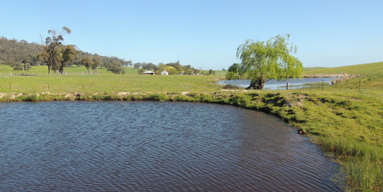 276 Kelvin View Road Kelvin View, Euroa