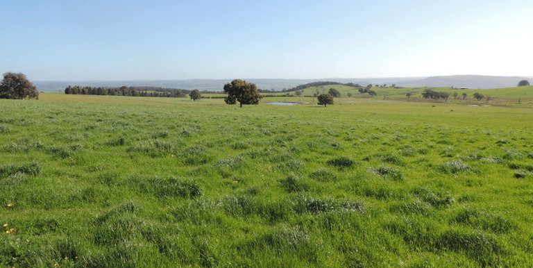 276 Kelvin View Road Kelvin View, Euroa