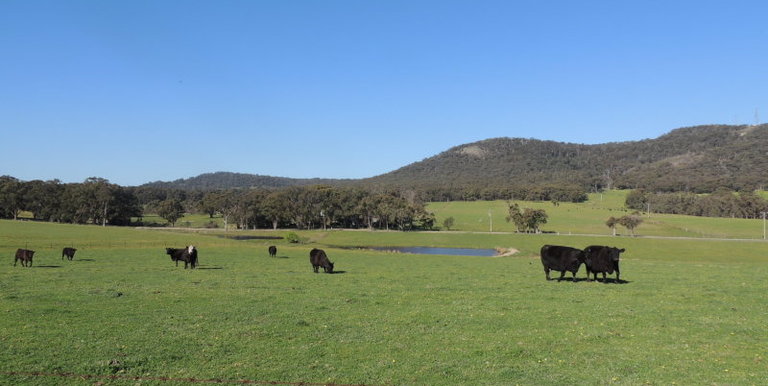 276 Kelvin View Road Kelvin View, Euroa