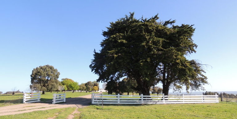 276 Kelvin View Road Kelvin View, Euroa