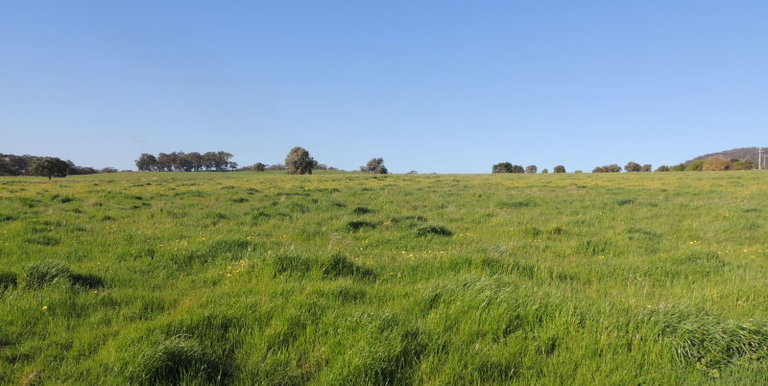 276 Kelvin View Road Kelvin View, Euroa
