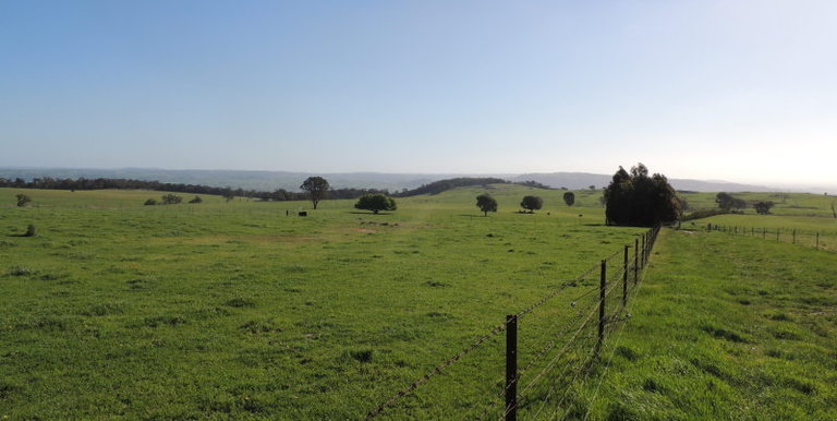 276 Kelvin View Road Kelvin View, Euroa
