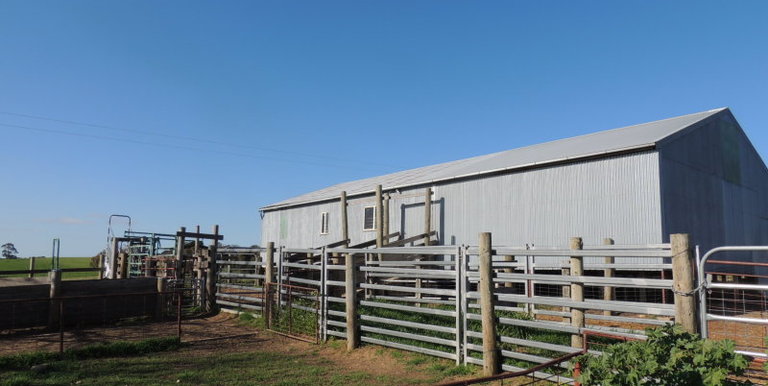 276 Kelvin View Road Kelvin View, Euroa