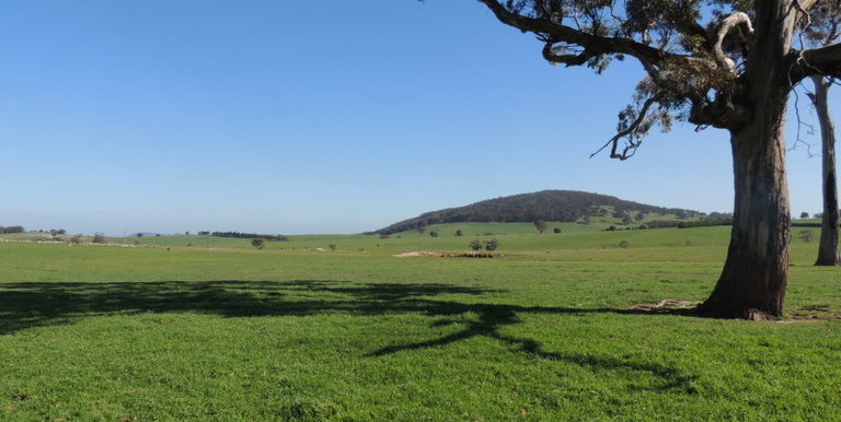 276 Kelvin View Road Kelvin View, Euroa