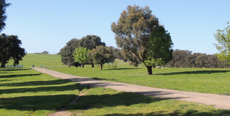 276 Kelvin View Road Kelvin View, Euroa