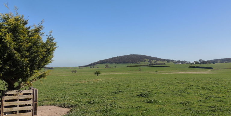 276 Kelvin View Road Kelvin View, Euroa