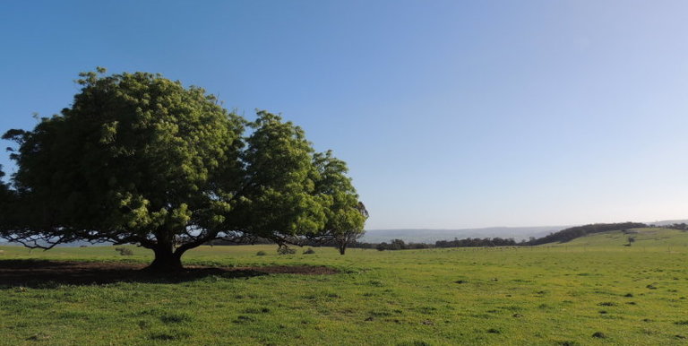 276 Kelvin View Road Kelvin View, Euroa