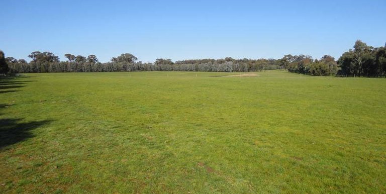 886 Downs Road, Violet Town