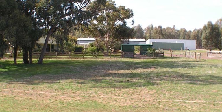 886 Downs Road, Violet Town