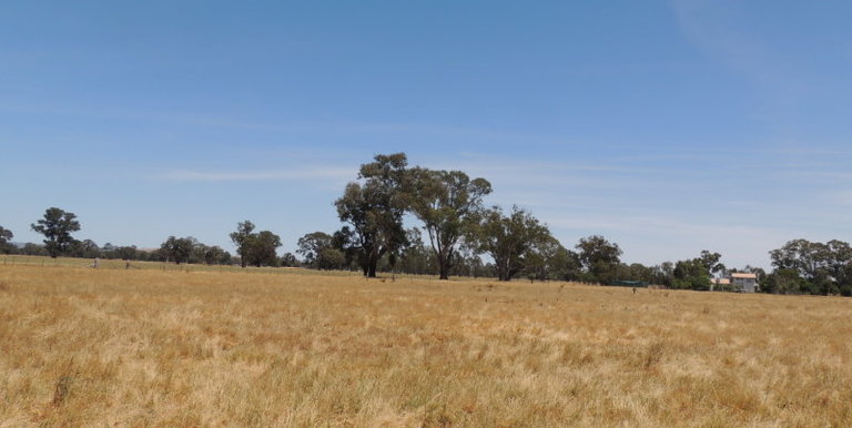 228 Euroa - Shepparton Road, Euroa