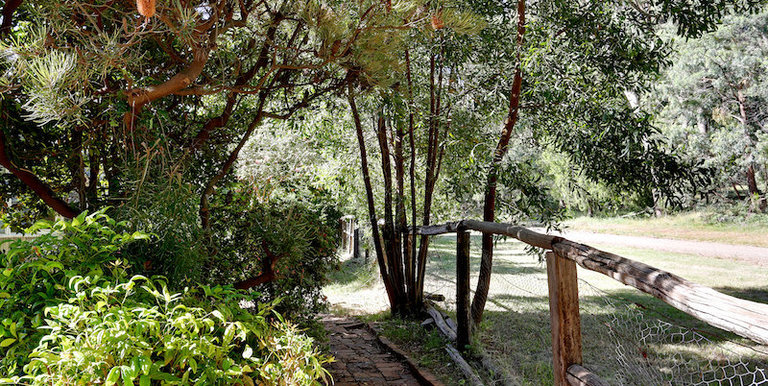 1028 Upper Boho Road, Strathbogie