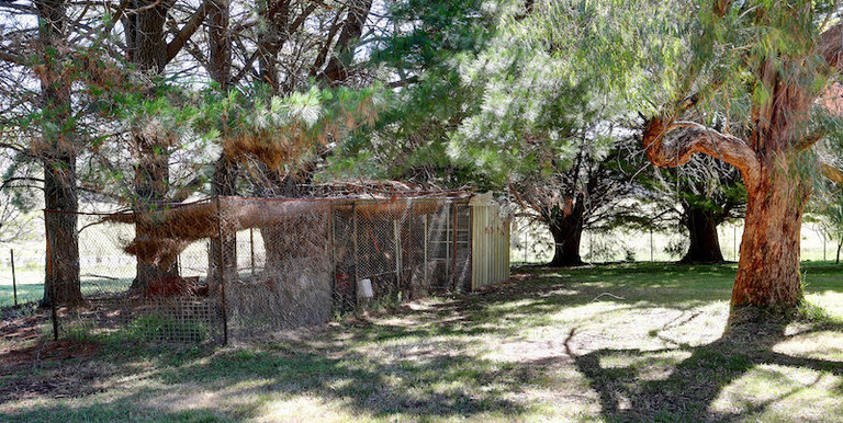 1028 Upper Boho Road, Strathbogie