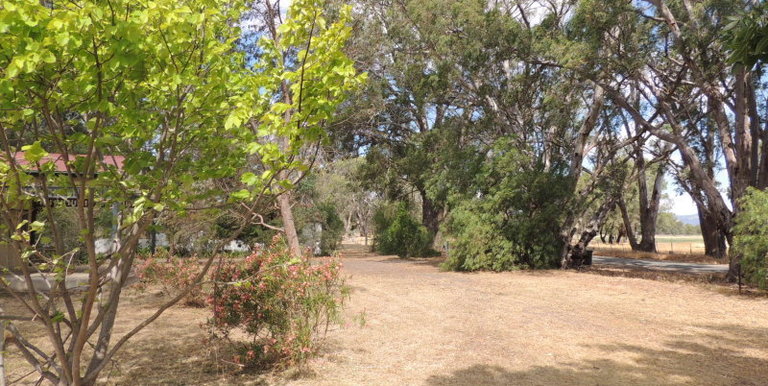 76 Drysdale Road, Euroa