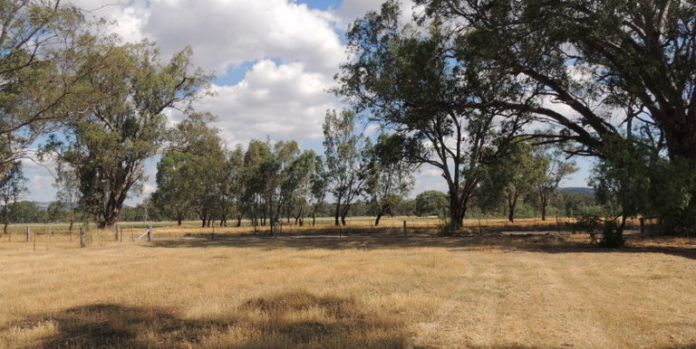 76 Drysdale Road, Euroa