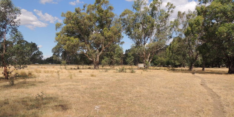 76 Drysdale Road, Euroa