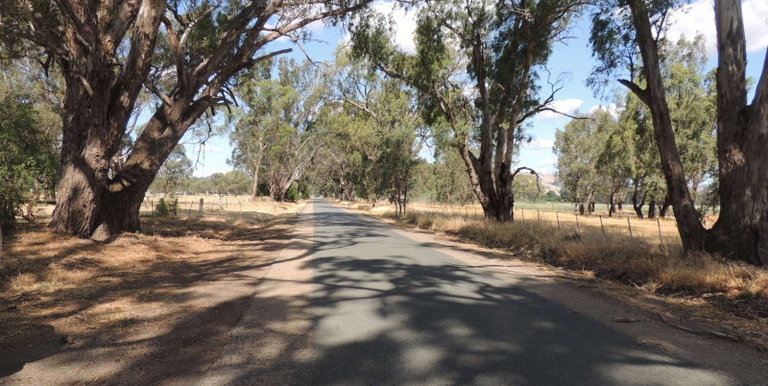 76 Drysdale Road, Euroa