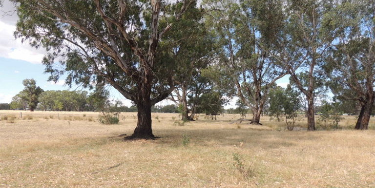 76 Drysdale Road, Euroa
