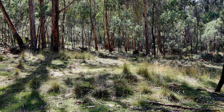 453 Kelvin View Road, Kelvin View