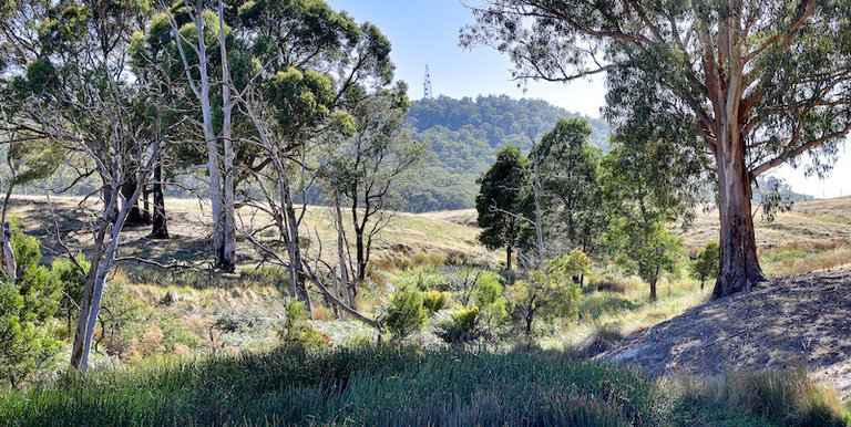 453 Kelvin View Road, Kelvin View