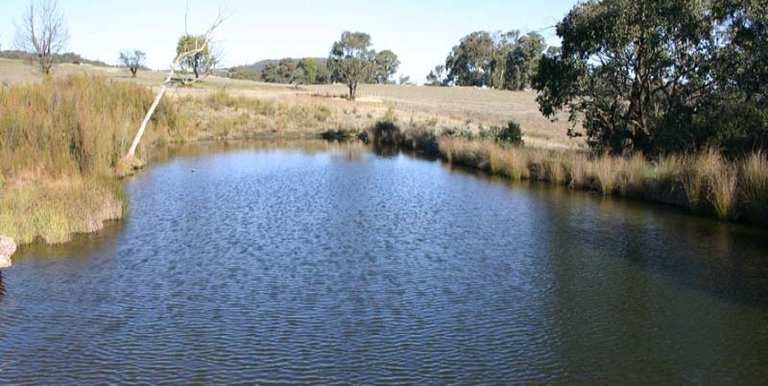 123 School Camp Lane, Strathbogie