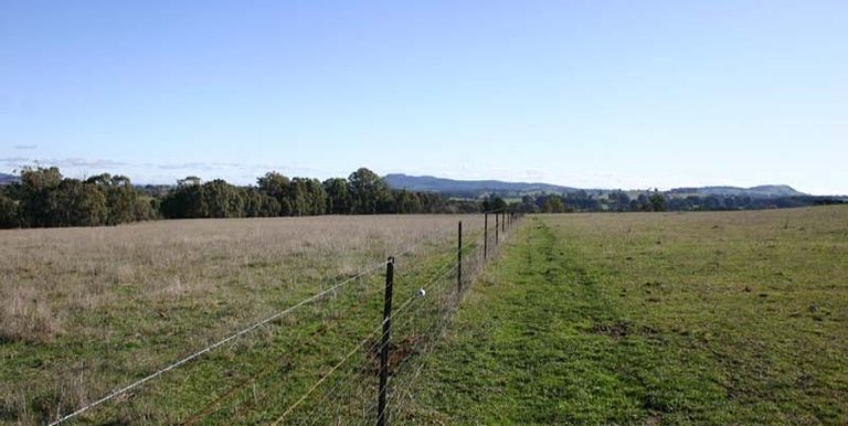 123 School Camp Lane, Strathbogie