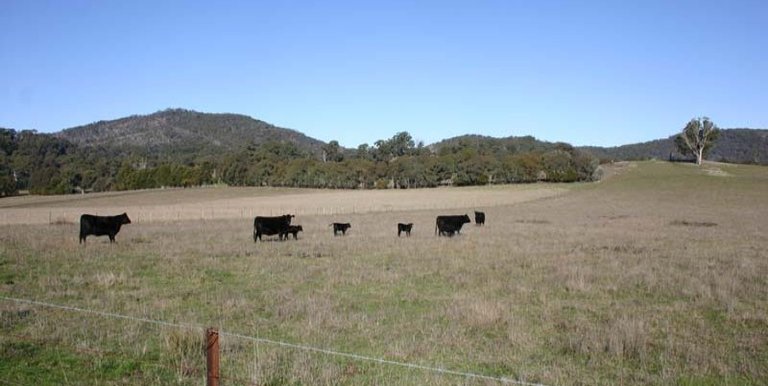123 School Camp Lane, Strathbogie