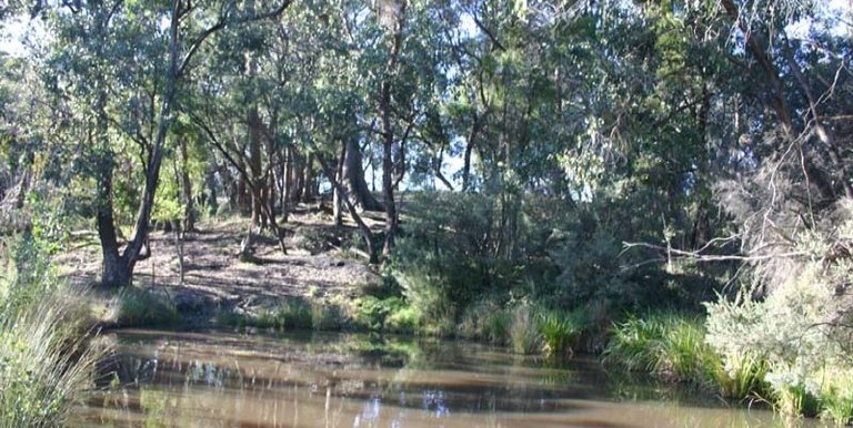 123 School Camp Lane, Strathbogie