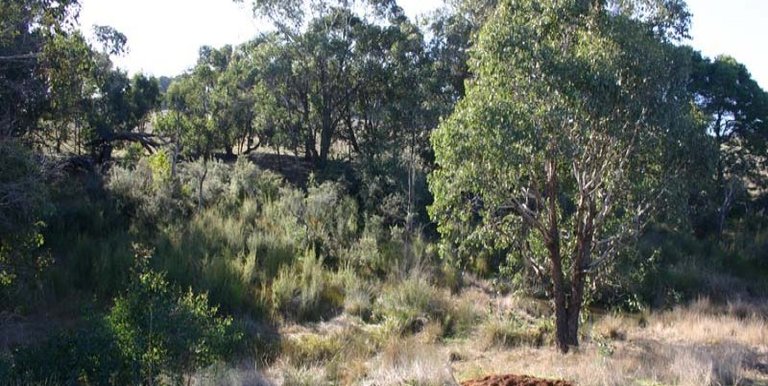 123 School Camp Lane, Strathbogie