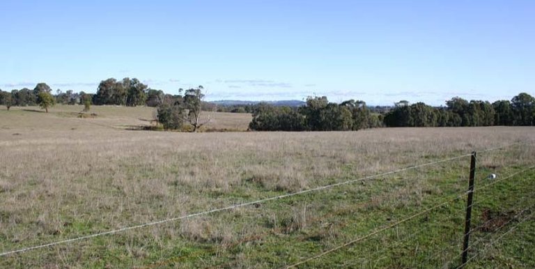 123 School Camp Lane, Strathbogie