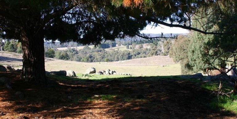 123 School Camp Lane, Strathbogie