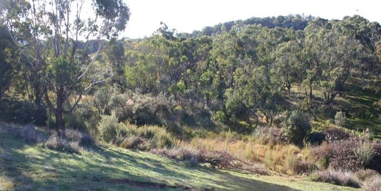 123 School Camp Lane, Strathbogie